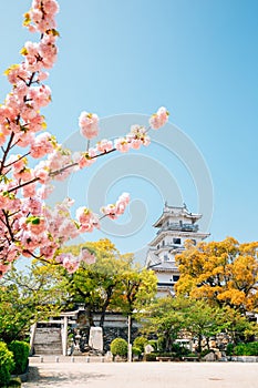 Imabari Castle at spring in Ehime, Shikoku, Japan