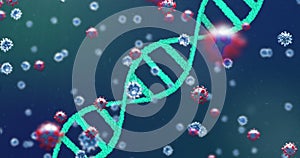 Image of 3D coronavirus Covid 19 cells spreading with rotating DNA strand