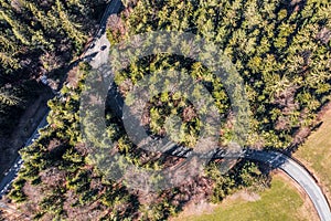 Image of aerial shot with drone of a road in dense conifer forest in spring with cars, Germany