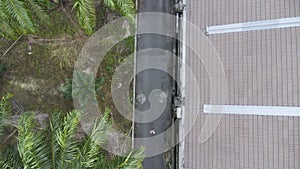 Aerial view of the backlane behind the oil palm trees.