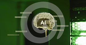 Image of ai text, brain and data processing over computer servers