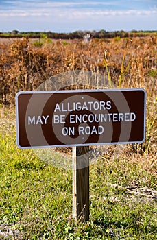 An image of Alligators may be encountered on road sign