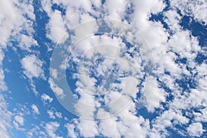 Cloud : Altocumulus floccus