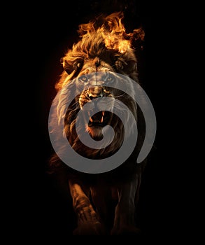 Image of an angry lion and flames. Wildlife Animals. Illustration. Generative AI