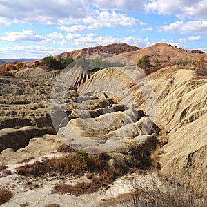 Image of arid vegetation at PÃ¢clele Mari - mud volcanoes