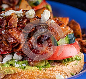 Image of avocado bacon toast with cucumber, tomato and cheese.