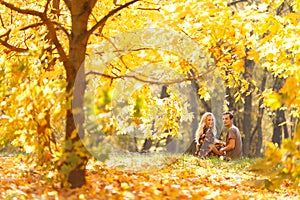 Image from back of young couple in love in woods