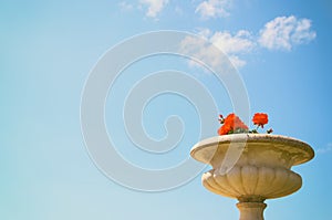 image of balcony view of marina , old flower vase and blue sky