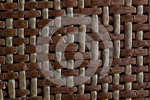 Image, bamboo background texture, for web page design