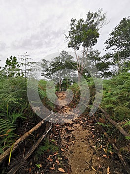 Image of beautiful green landscape at Bukit Merah Karambunai,Sabah.