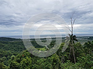 Image of beautiful green landscape from peak Bukit Merah Karambunai,Sabah.