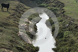 This is an image of beautiful small river in village .