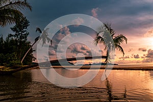 Image of beautiful sunset palm trees on tropical beach background for travel during vacation time,