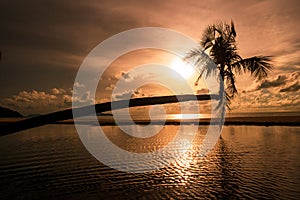 Image of beautiful sunset palm trees on tropical beach background for travel during vacation time,