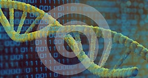 Image of binary coding data processing over dna strand spinning