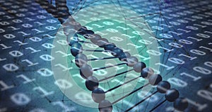 Image of binary coding data processing over dna strand spinning