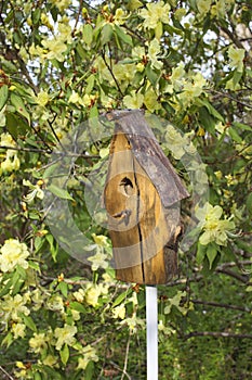 An image of a birdhouse against a blossoming bush.