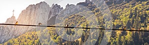 Image of birds sitting on a power line with sunset and mountainlandscape in the background