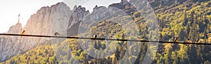 Image of birds sitting on a power line with sunset and mountainlandscape in the background photo
