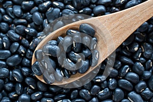 Image black kidney beans in wooden spoon