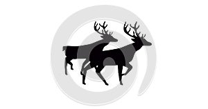 Image of black silhouette of two reindeer walking on white background