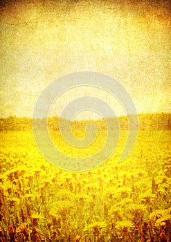 Image of blooming field over vintage paper