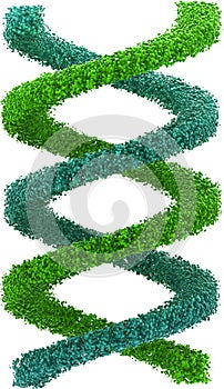 Image of blue and green DNA strand, isolated on w
