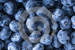 Image of blueberries from above, close up.