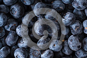 Image of blueberries from above, close up.