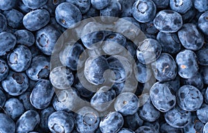 Image of blueberries from above, close up.