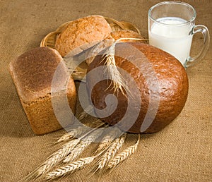 Image of bread, wheat and milk close-up