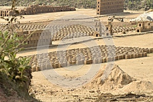 This is an image of bricks drying in sunlight .