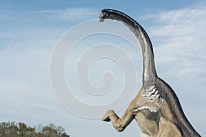 Portrait of a brontosaurus over blu sky photo