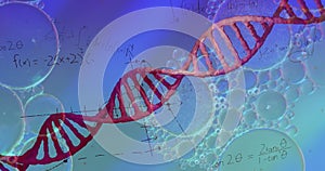 Image of bubbles over dna strand and mathematical equations on blue background