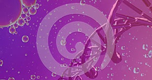 Image of bubbles over dna strand on purple background