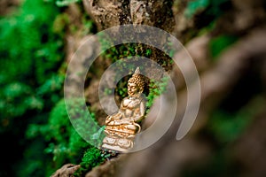 Image of Buddha