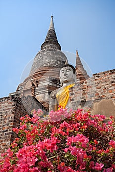 Image of Buddha and pagoda, Ayutthaya province