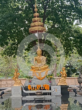 image of Buddha in the Thailand park