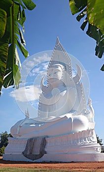 image-of-buddha