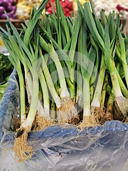 bundle of the fresh green china Leeks