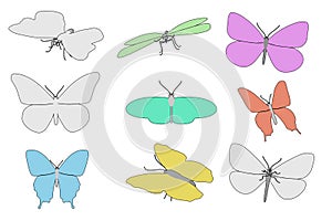 Image of buttefly animals