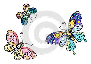 The image of butterflies.