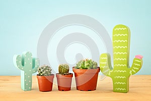 Image of cactus in a pot infront of wooden blue background.