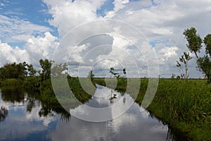 image of canals going through swamplands photo