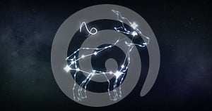 Image of capricorn sign with stars on black background photo