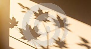 Warm sunlight casting maple leaf shadows onto a wall