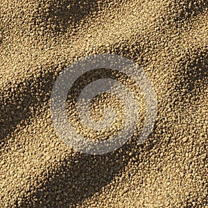 The image captures the granularity and uniformity of the surface