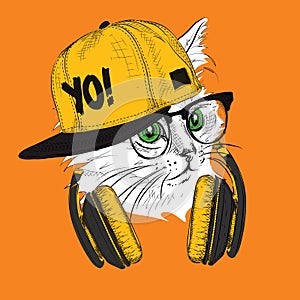 The image of the cat in the glasses and headphones. Vector illustration.