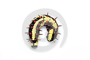 Image of caterpillars of common mime isolated on white background. Animal. Insect