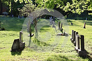 Image of a cemetery. Tombstones in a park in summer. Cultur and religion. God and death.